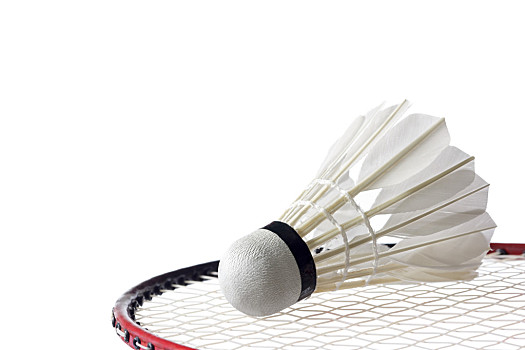 不仅是实验 不仅是实验