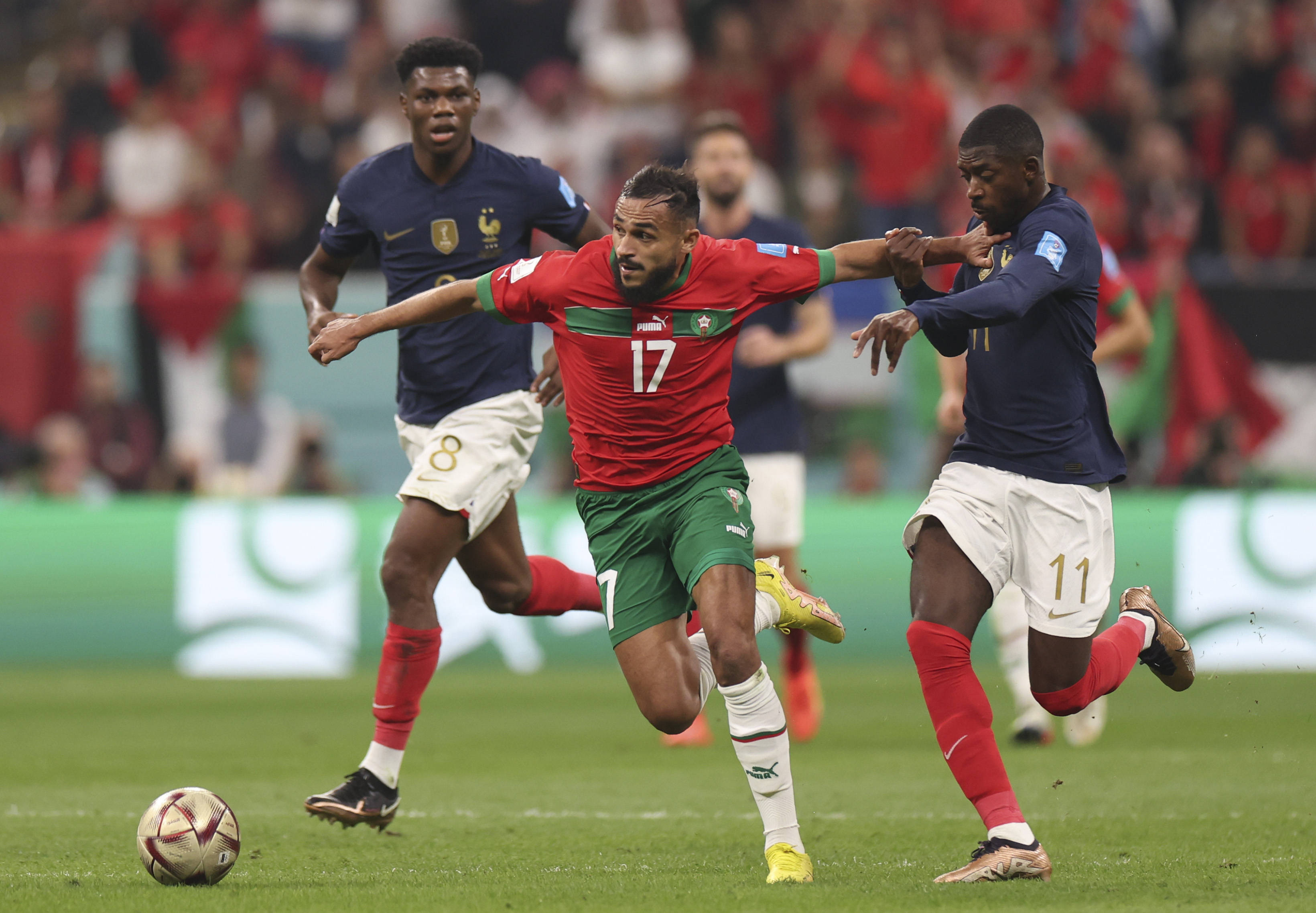 出色表现和 出色表现和